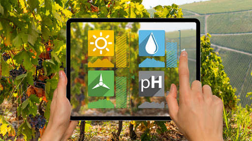 TARIMSAL İZLEME VE BİLGİ SİSTEMİ (TARBİL)